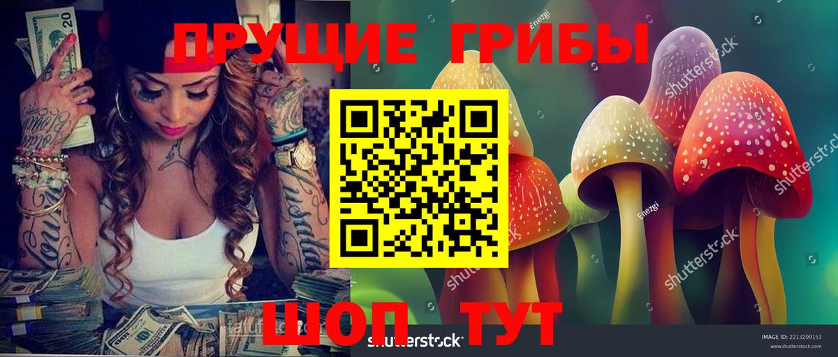 Псилоцибиновые грибы мухоморы Свободный